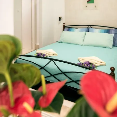 Apartment Ibis Your Cosy Oasis With Private Parking And Patio Split